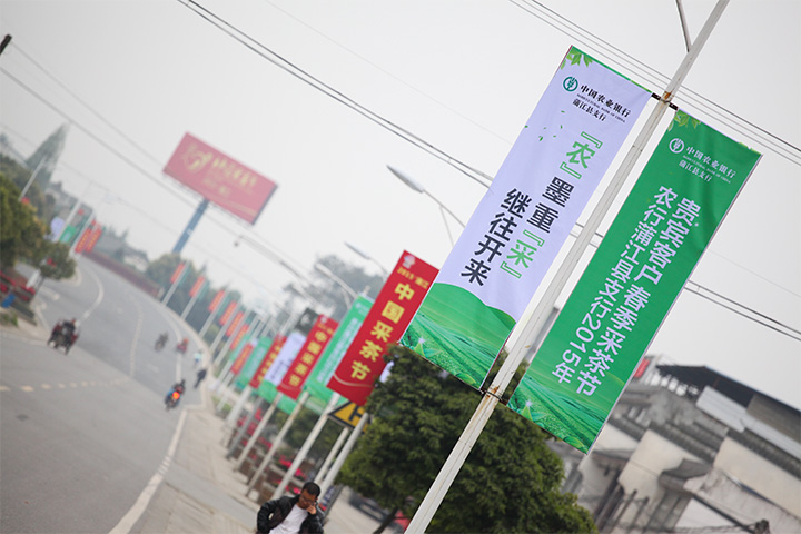 2015采茶節 (272).jpg